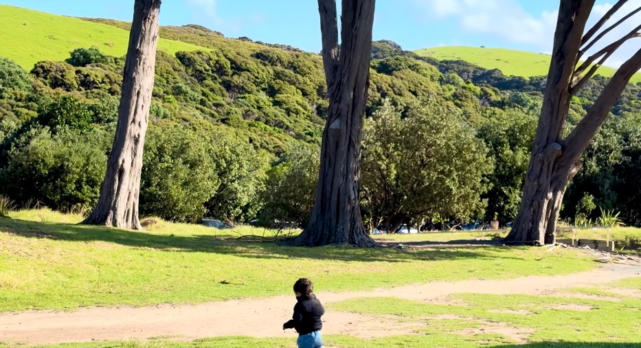 Tawharanui Regional Park